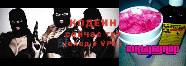 прущие грибы Вязьма