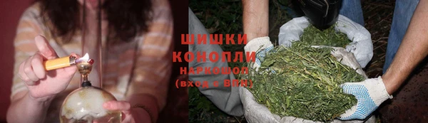 spice Сосновый Бор