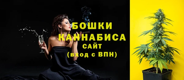 дживик Верхний Тагил