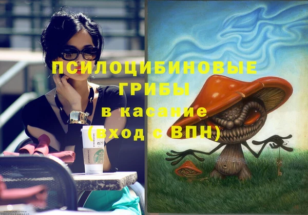 прущие грибы Вязьма