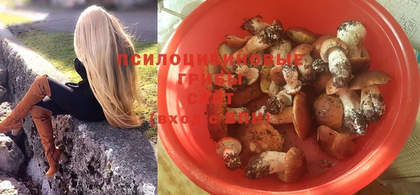 стафф Волоколамск