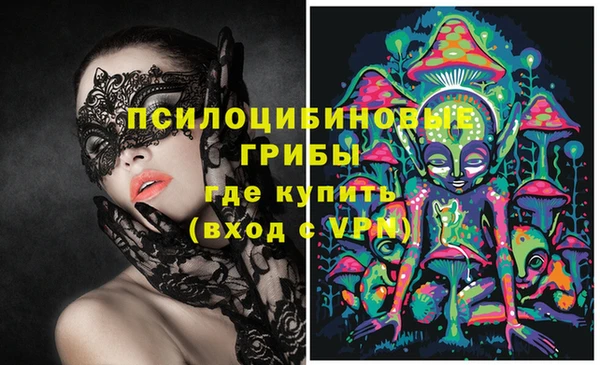прущие грибы Вязьма