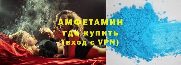 прущие грибы Вязьма