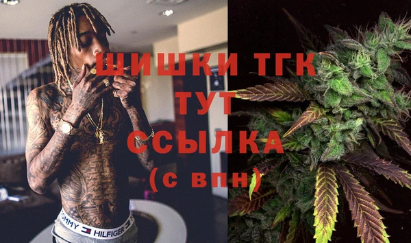 прущие грибы Вязьма