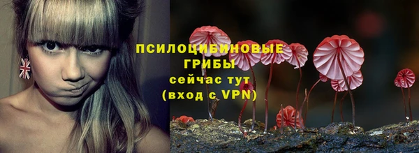 МДПВ Вязники