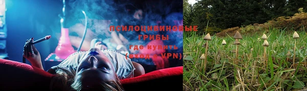 PSILOCYBIN Верхнеуральск